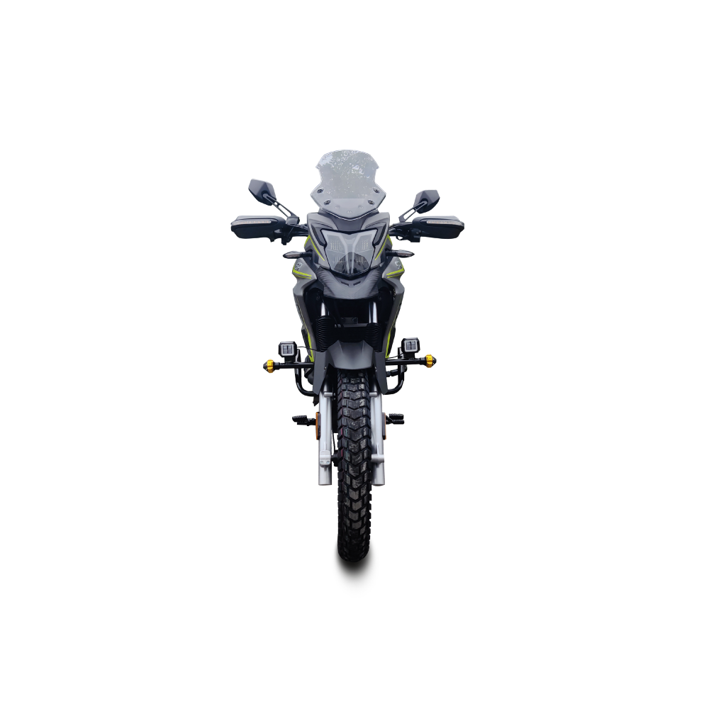 SAVAGE 250