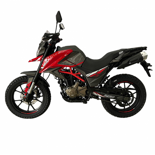 TEKKEN EVO 250
